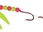 Chart-N-Pink Signature Spinner™