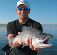 4.25 50/50 Pink-n-Silver Signature Dodger - Rocky Mountain Tackle