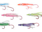 UV Signature Squid 6 Pack
