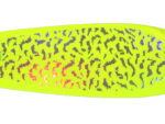5.5" Chart Tiger Signature Dodger