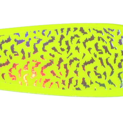 5.5" Chart Tiger Signature Dodger