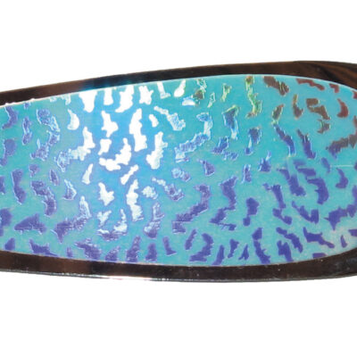 5.5" Bahama Mamma Signature Dodger