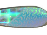 5.5" The Fusion Signature Dodger