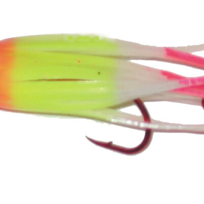 Double Glow Rainbow Signature Squid
