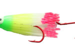 Double Glow Caribbean Signature Squid