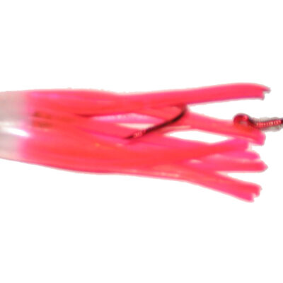 UV Pink Hottail Signature Squid