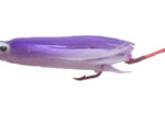 UV Purple Cotton Candy Signature Squid