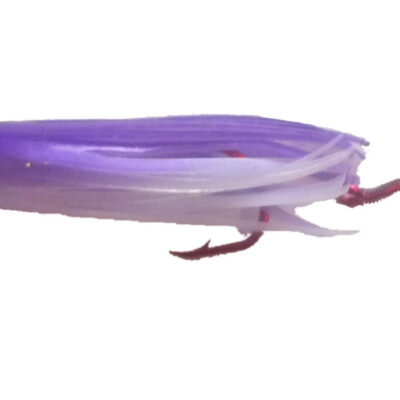 UV Purple Cotton Candy Signature Squid