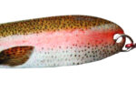 3-D Rainbow Viper Serpent Spoon