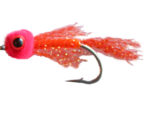 Orange Firecracker Little Demons