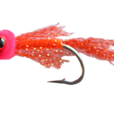 Orange Firecracker Little Demons
