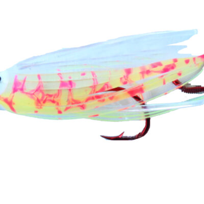 UV Chart Splatter Bk Signature Squid