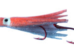 Orange Metallic Signature Squid