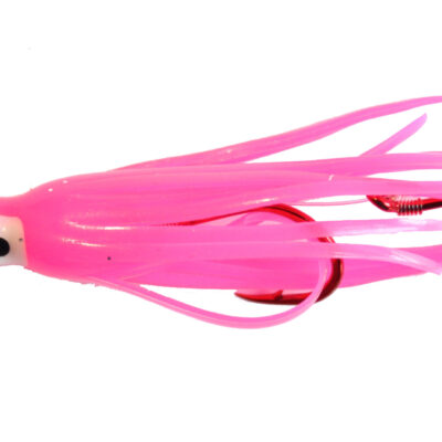 Bubble Gum Signature Squid