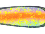 5.5" UV Sunburst Moonshine Signature Dodger