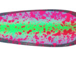5.5" UV Watermelon Moonshine Signature Dodger