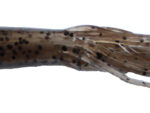 Dark Brown Pepper Tubes