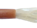 Flesh & Bone Tubes