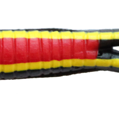 Black Yellow Stripe Beetle Grubs