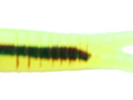 Chart Crawfish Beetle Grubs