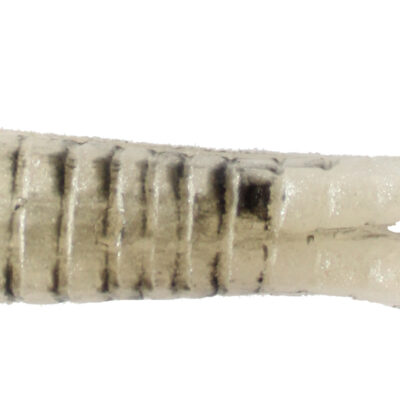 Natural Shad Bettle Grubs