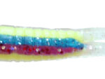 Sparkle Rainbow Beetle Grubs