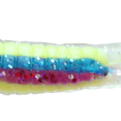 Sparkle Rainbow Beetle Grubs