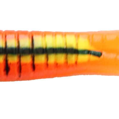 Orange Crawfish Beetle Grubs