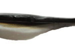3" Real Pro Shad